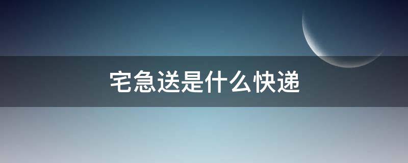 宅急送是什么快递（宅急送是什么快递,快吗）