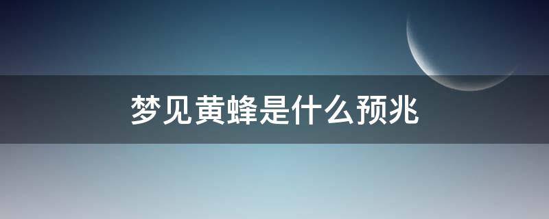 梦见黄蜂是什么预兆（梦见很多黄蜂是什么预兆）