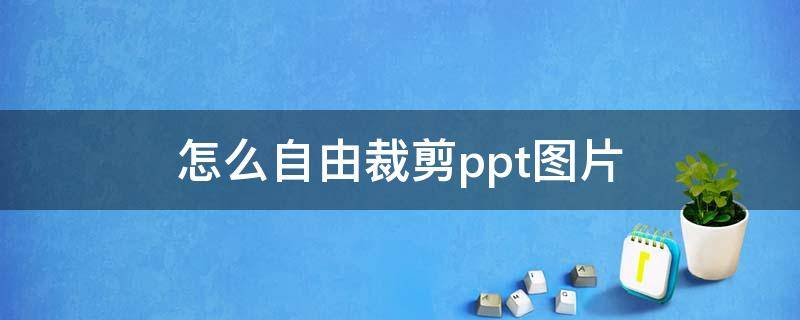 怎么自由裁剪ppt图片（ppt如何自由裁剪图片形状）