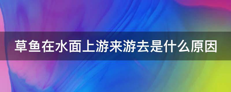 草鱼在水面上游来游去是什么原因 草鱼在水面上游来游去是什么原因引起的