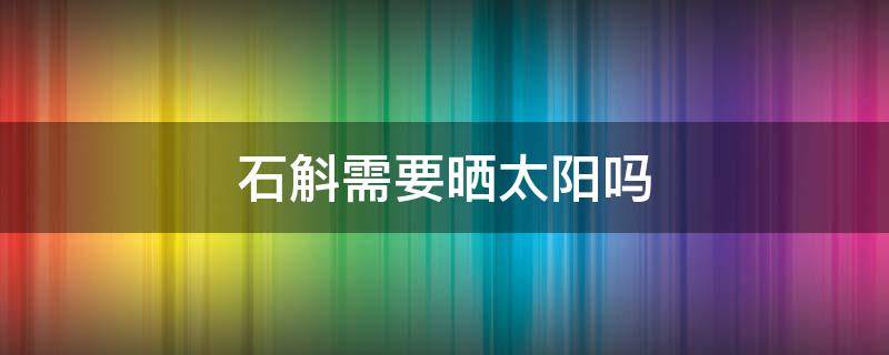 石斛需要晒太阳吗（石斛需不需要晒太阳）