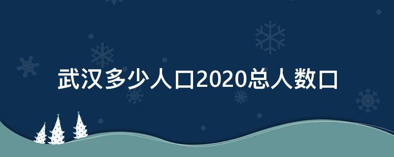 武汉多少人口2020总人数口 武汉人口多少2020