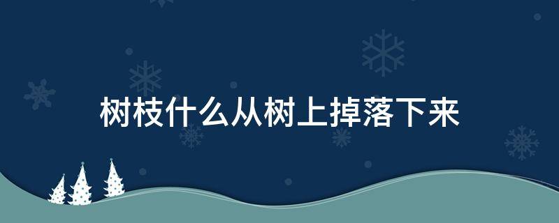 树枝什么从树上掉落下来 树枝什么从树上掉落下来拟声词