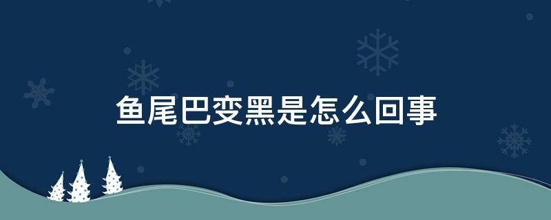 鱼尾巴变黑是怎么回事（迷你鹦鹉鱼尾巴变黑是怎么回事）