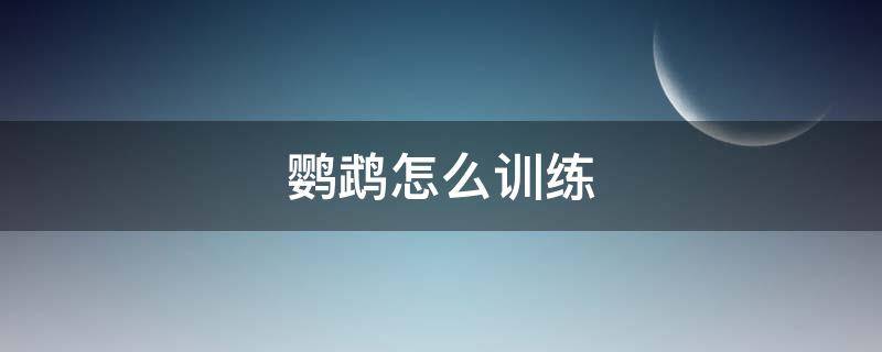 鹦鹉怎么训练 鹦鹉怎么训练定点排便