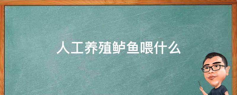 人工养殖鲈鱼喂什么 鲈鱼怎么养殖技术