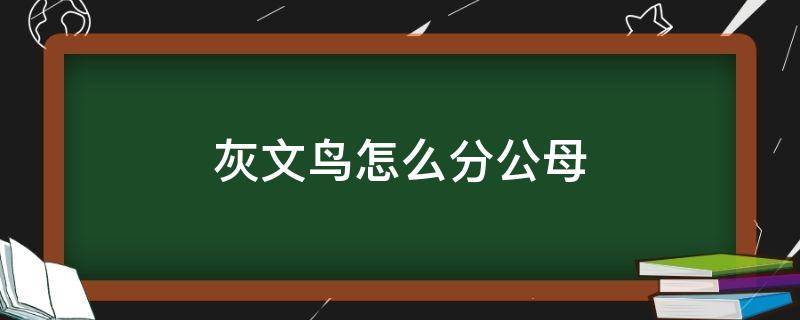 灰文鸟怎么分公母（灰文鸟怎么分公母图解）