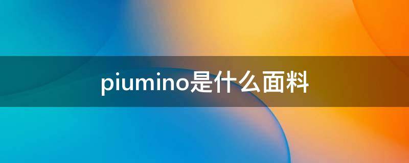 piumino是什么面料（piumino是什么牌子）