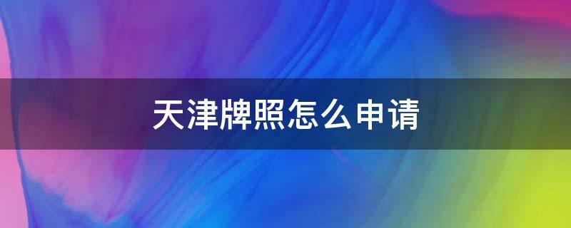 天津牌照怎么申请（天津牌照怎么申请条件）