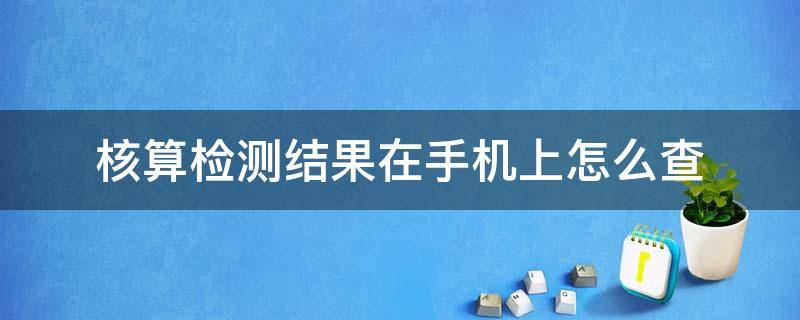 核算检测结果在手机上怎么查（核算检测结果手机怎么看）