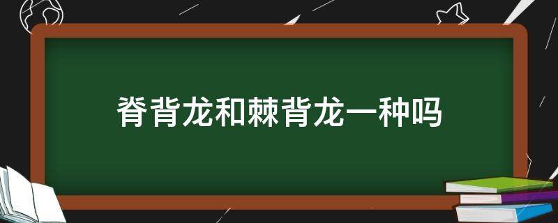 脊背龙和棘背龙一种吗（什么是棘背龙）