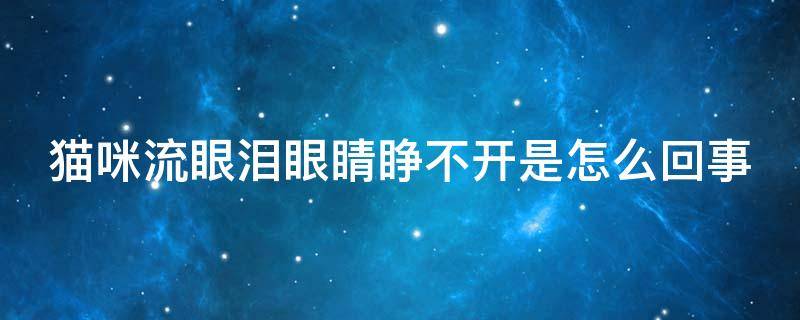 猫咪流眼泪眼睛睁不开是怎么回事 猫咪流眼泪眼睛睁不开是怎么回事不吃不喝