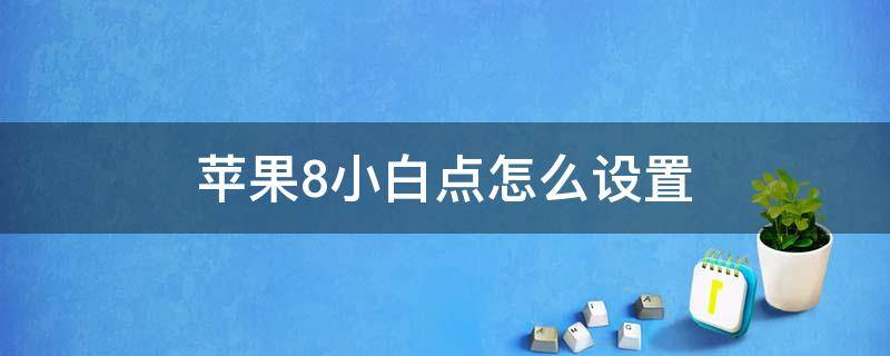 苹果8小白点怎么设置（苹果8小白点功能设置）