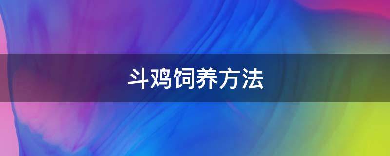 斗鸡饲养方法（斗鸡的饲养方法）