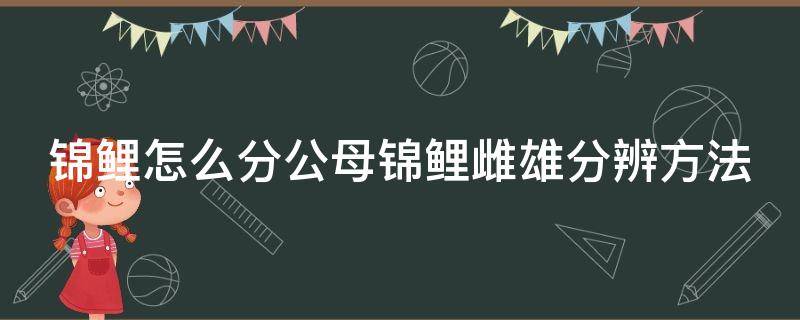 锦鲤怎么分公母锦鲤雌雄分辨方法 锦鲤怎样区分公母