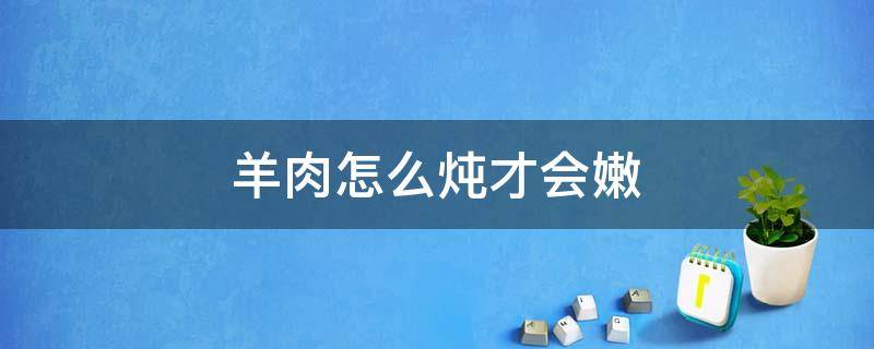 羊肉怎么炖才会嫩（怎么炖羊肉才能嫩）