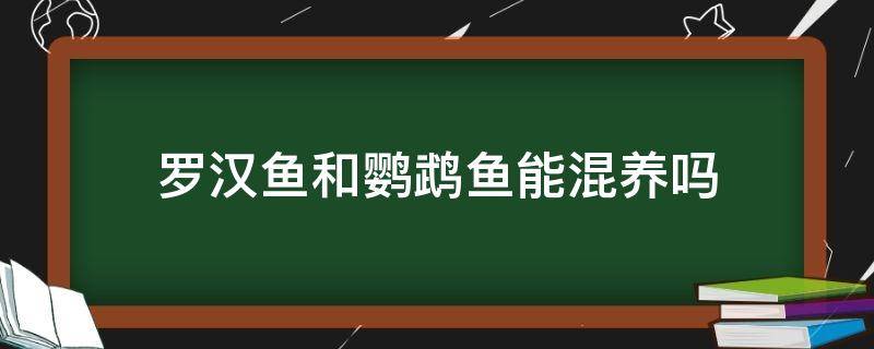 罗汉鱼和鹦鹉鱼能混养吗（罗汉鹦鹉鱼和鹦鹉鱼混养可以吗?）