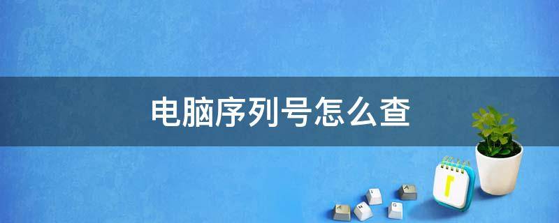 电脑序列号怎么查 电脑序列号怎么查询