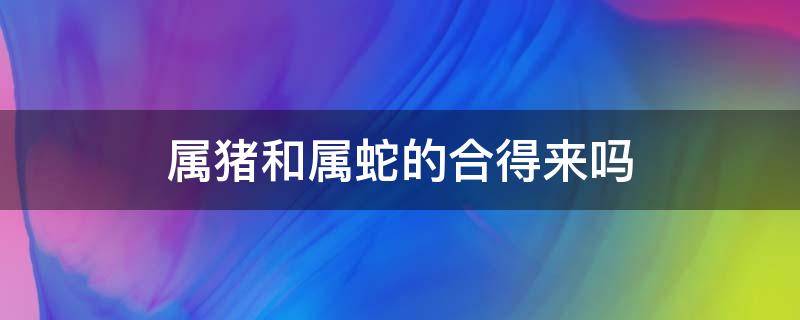 属猪和属蛇的合得来吗（属猪跟属蛇的合吗）