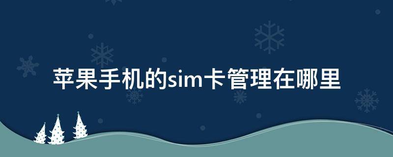 苹果手机的sim卡管理在哪里 苹果手机SIM卡在哪