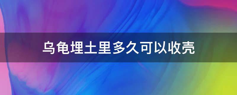 乌龟埋土里多久可以收壳 乌龟死后埋土里多久收壳