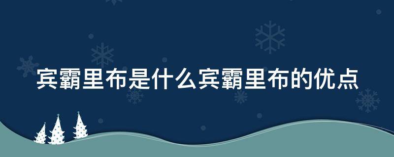 宾霸里布是什么宾霸里布的优点 宾霸布料是什么做的