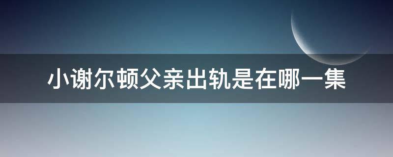 小谢尔顿父亲出轨是在哪一集 小谢尔顿爸爸出轨了谁