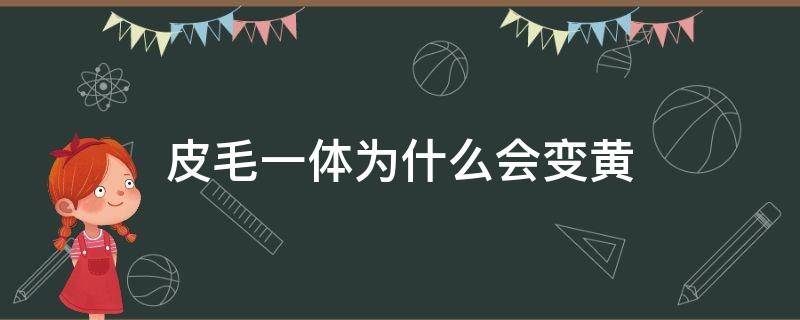 皮毛一体为什么会变黄（皮毛一体为什么发黄）