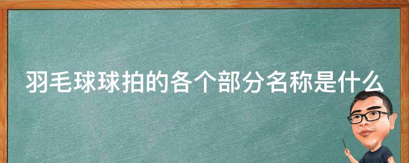 羽毛球球拍的各个部分名称是什么 羽毛球拍的各个部位