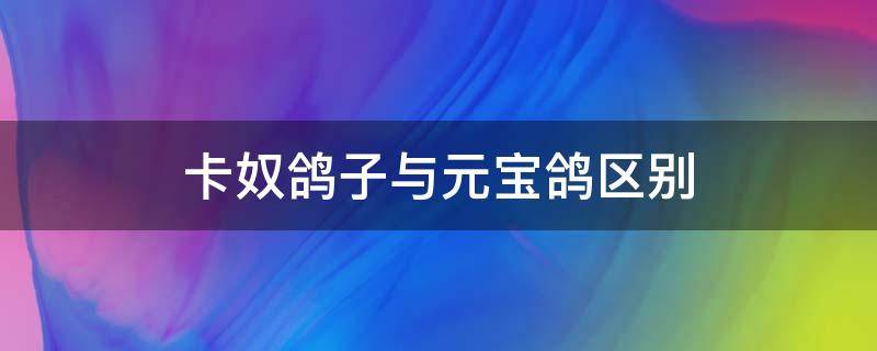 卡奴鸽子与元宝鸽区别 元宝鸽和红卡奴能配对吗