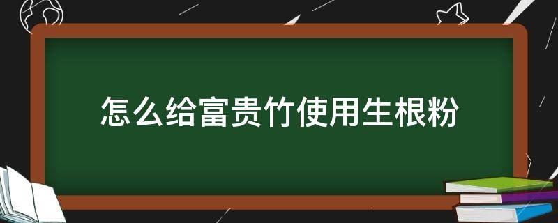 怎么给富贵竹使用生根粉（养富贵竹怎么用生根粉）