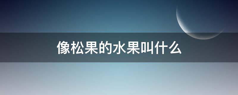 像松果的水果叫什么（长的像松果的水果）