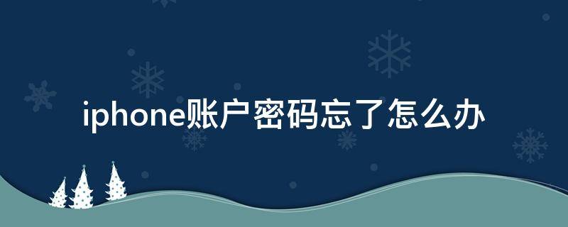 iphone账户密码忘了怎么办（苹果忘了账户密码怎么办）