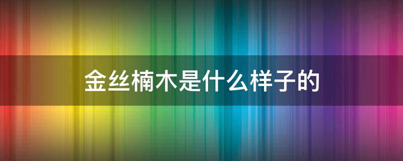 金丝楠木是什么样子的 金丝楠木是什么样子的有图片吗