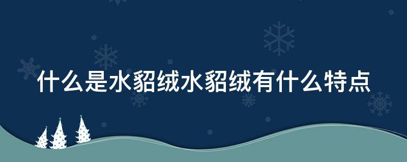 什么是水貂绒水貂绒有什么特点 水貂绒是什么布料的