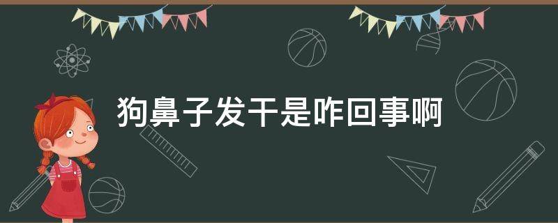 狗鼻子发干是咋回事啊（狗鼻子干是怎么了）