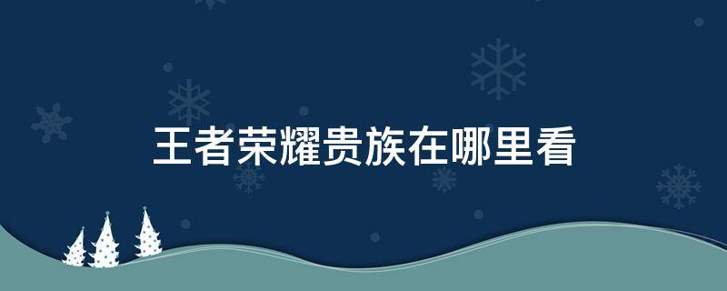 王者荣耀贵族在哪里看 王者荣耀贵族在哪里看到