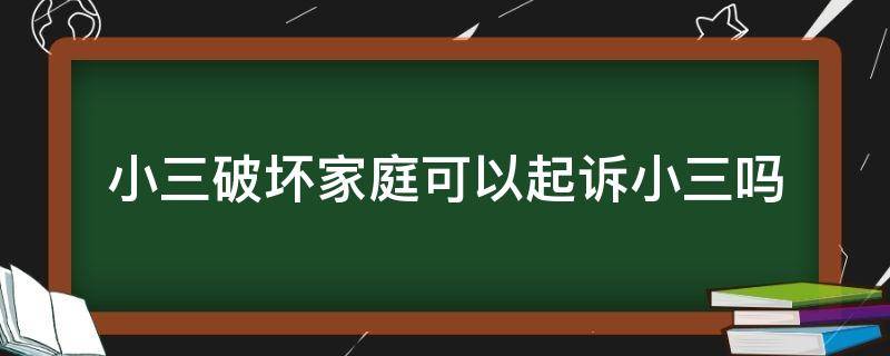 小三破坏家庭可以起诉小三吗（能不能起诉小三破坏家庭）