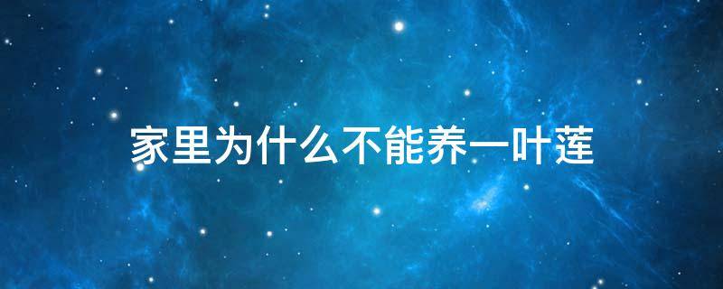 家里为什么不能养一叶莲 家里养一叶莲有什么忌讳吗