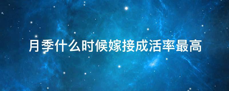 月季什么时候嫁接成活率最高 月季什么时候嫁接成活率最高嫁后怎么养护管理