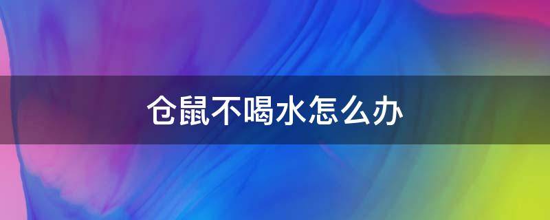 仓鼠不喝水怎么办（刚来的仓鼠不喝水怎么办）