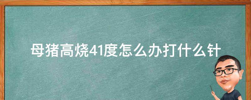 母猪高烧41度怎么办打什么针（母猪高烧42度怎么办打什么针）