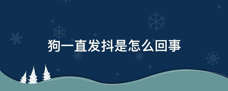 狗一直发抖是怎么回事（狗狗有时候发抖是怎么回事）