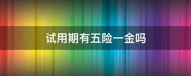 试用期有五险一金吗 私企试用期有五险一金吗