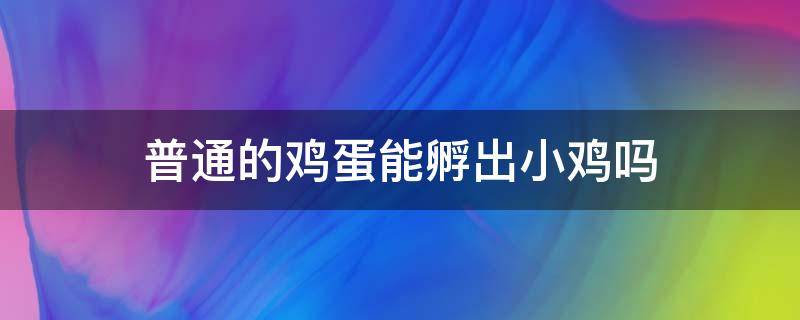 普通的鸡蛋能孵出小鸡吗（平常的鸡蛋能孵化出小鸡吗）