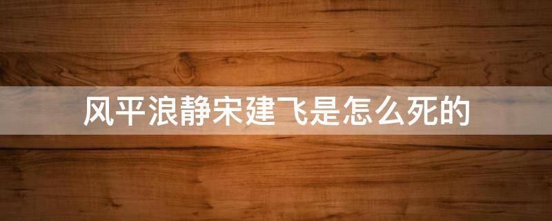 风平浪静宋建飞是怎么死的 风平浪静为什么撞死