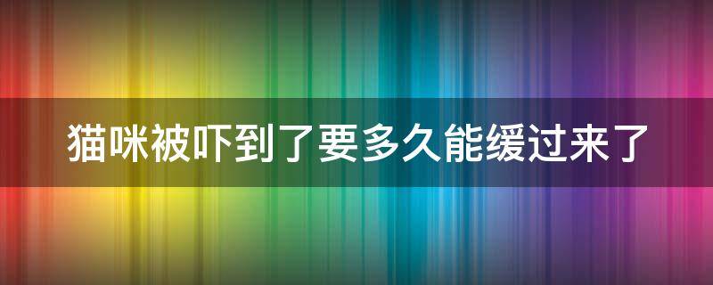 猫咪被吓到了要多久能缓过来了 猫惊吓过度的症状