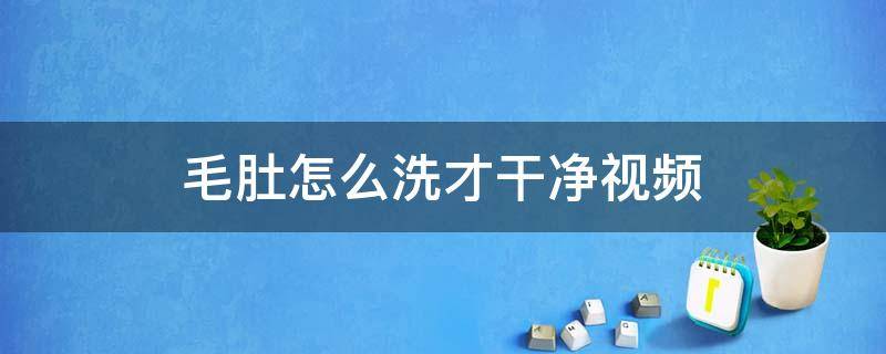 毛肚怎么洗才干净视频（毛肚清洗流程视频）