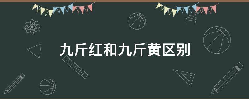 九斤红和九斤黄区别 九斤黄鸡和九斤红的区别