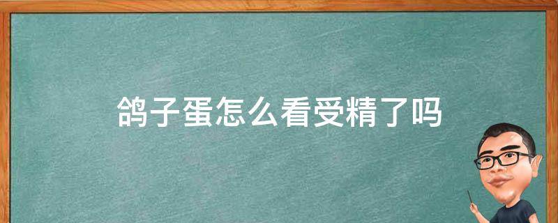 鸽子蛋怎么看受精了吗（怎么看受精的鸽子蛋）